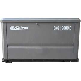 EVOline  GNG 19000 E Газовый генератор купить по выгодной цене 100kwatt.ru