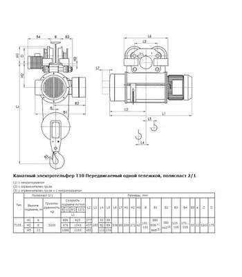 Балканско Эхо Т10 (3.2 т, 6 м) тип 13T10516 Таль электрическая передвижная в Екатеринбурге купить по выгодной цене 100kwatt.ru